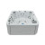 Butterfly / White 17,950.00€